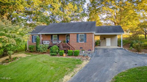 Tiny photo for 316 Montezuma Road, Kingsport, TN 37664 (MLS # 9985668)