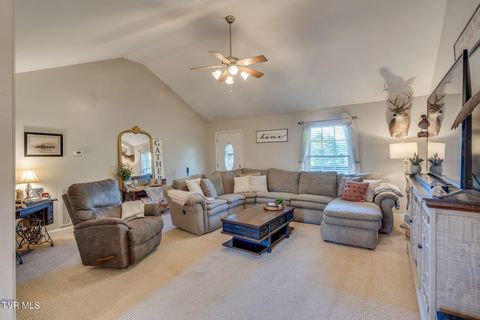 Tiny photo for 316 Montezuma Road, Kingsport, TN 37664 (MLS # 9985668)