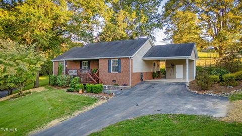 Tiny photo for 316 Montezuma Road, Kingsport, TN 37664 (MLS # 9985668)