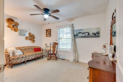 Tiny photo for 316 Montezuma Road, Kingsport, TN 37664 (MLS # 9985668)