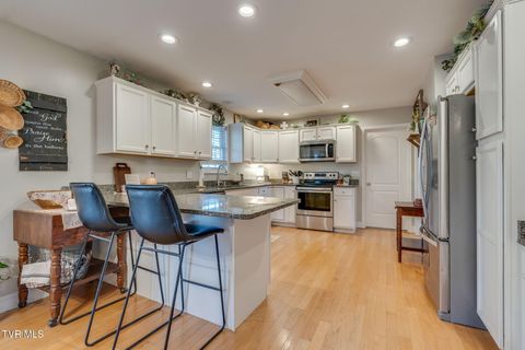 Tiny photo for 316 Montezuma Road, Kingsport, TN 37664 (MLS # 9985668)