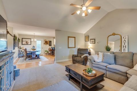 Tiny photo for 316 Montezuma Road, Kingsport, TN 37664 (MLS # 9985668)