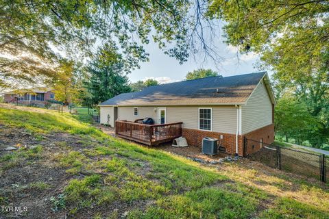 Tiny photo for 316 Montezuma Road, Kingsport, TN 37664 (MLS # 9985668)