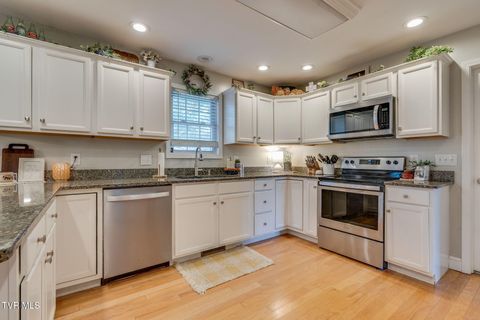 Tiny photo for 316 Montezuma Road, Kingsport, TN 37664 (MLS # 9985668)