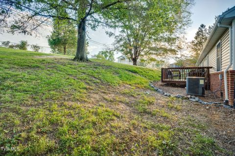 Tiny photo for 316 Montezuma Road, Kingsport, TN 37664 (MLS # 9985668)