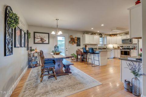 Tiny photo for 316 Montezuma Road, Kingsport, TN 37664 (MLS # 9985668)