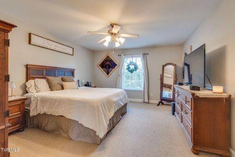 Tiny photo for 316 Montezuma Road, Kingsport, TN 37664 (MLS # 9985668)