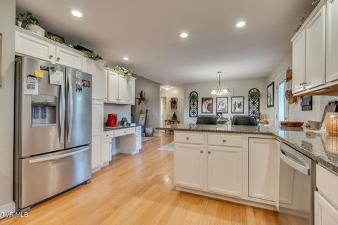 Tiny photo for 316 Montezuma Road, Kingsport, TN 37664 (MLS # 9985668)