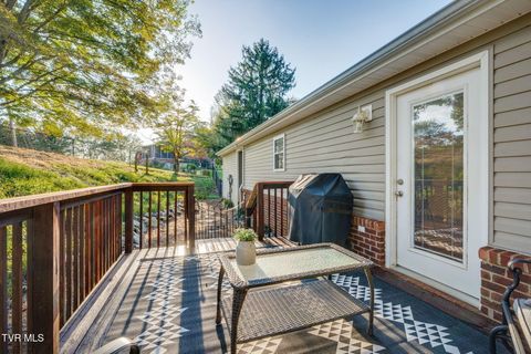 Tiny photo for 316 Montezuma Road, Kingsport, TN 37664 (MLS # 9985668)