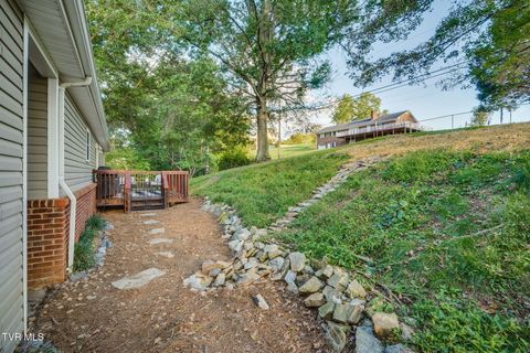 Tiny photo for 316 Montezuma Road, Kingsport, TN 37664 (MLS # 9985668)