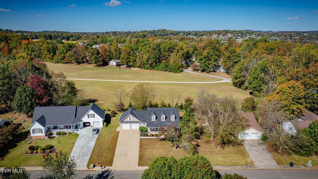Photo of 50 Colricia Drive, Greeneville, TN 37745 (MLS # 9987466)