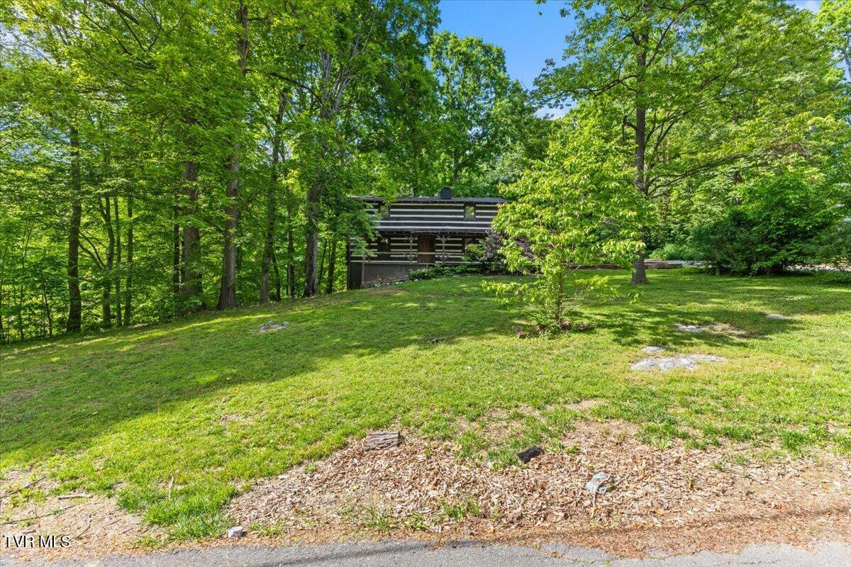 2318 Westwood Street, Johnson City, Tennessee image 4