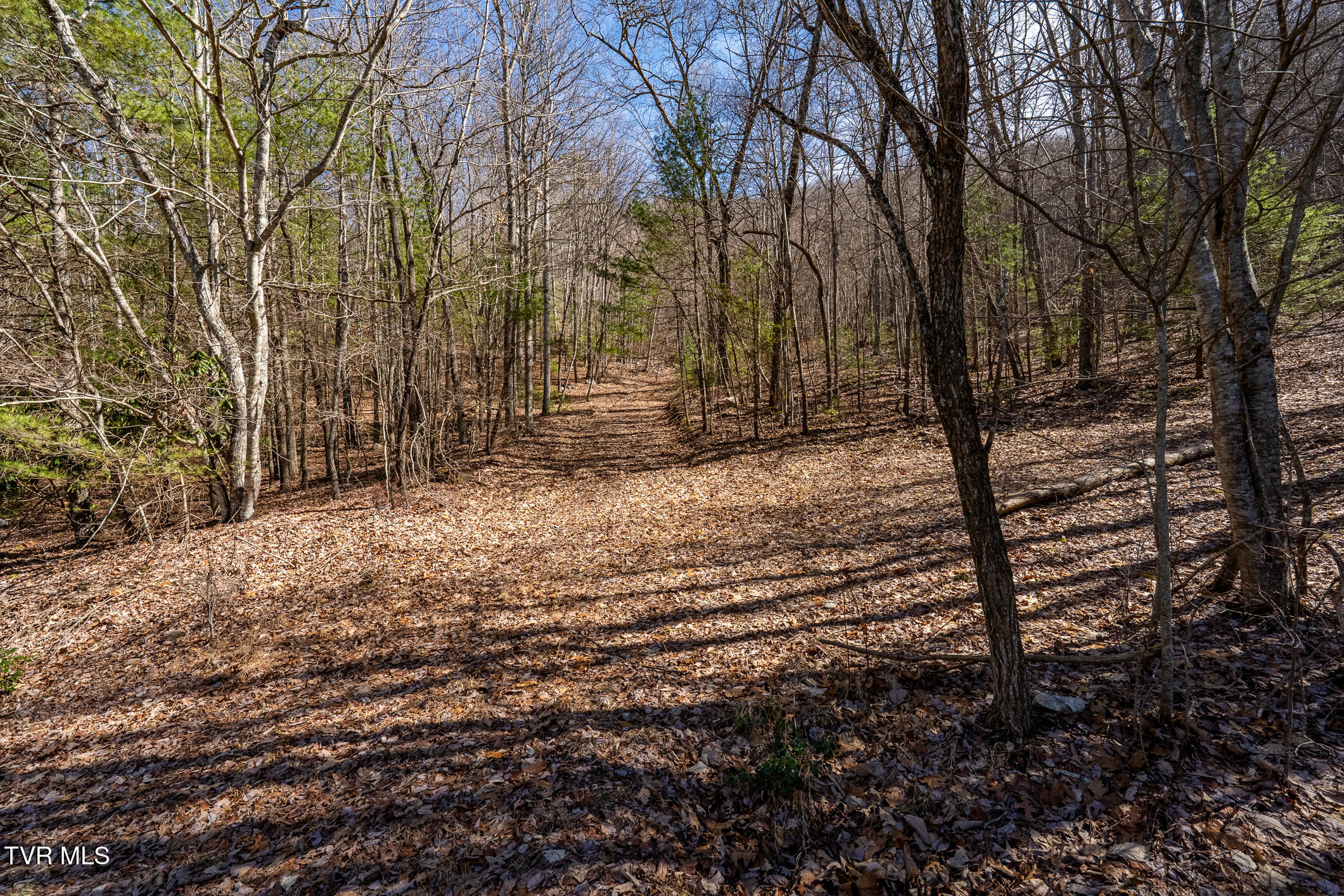 Lot 6 78 Iroquois Road, Mountain City, Tennessee image 4