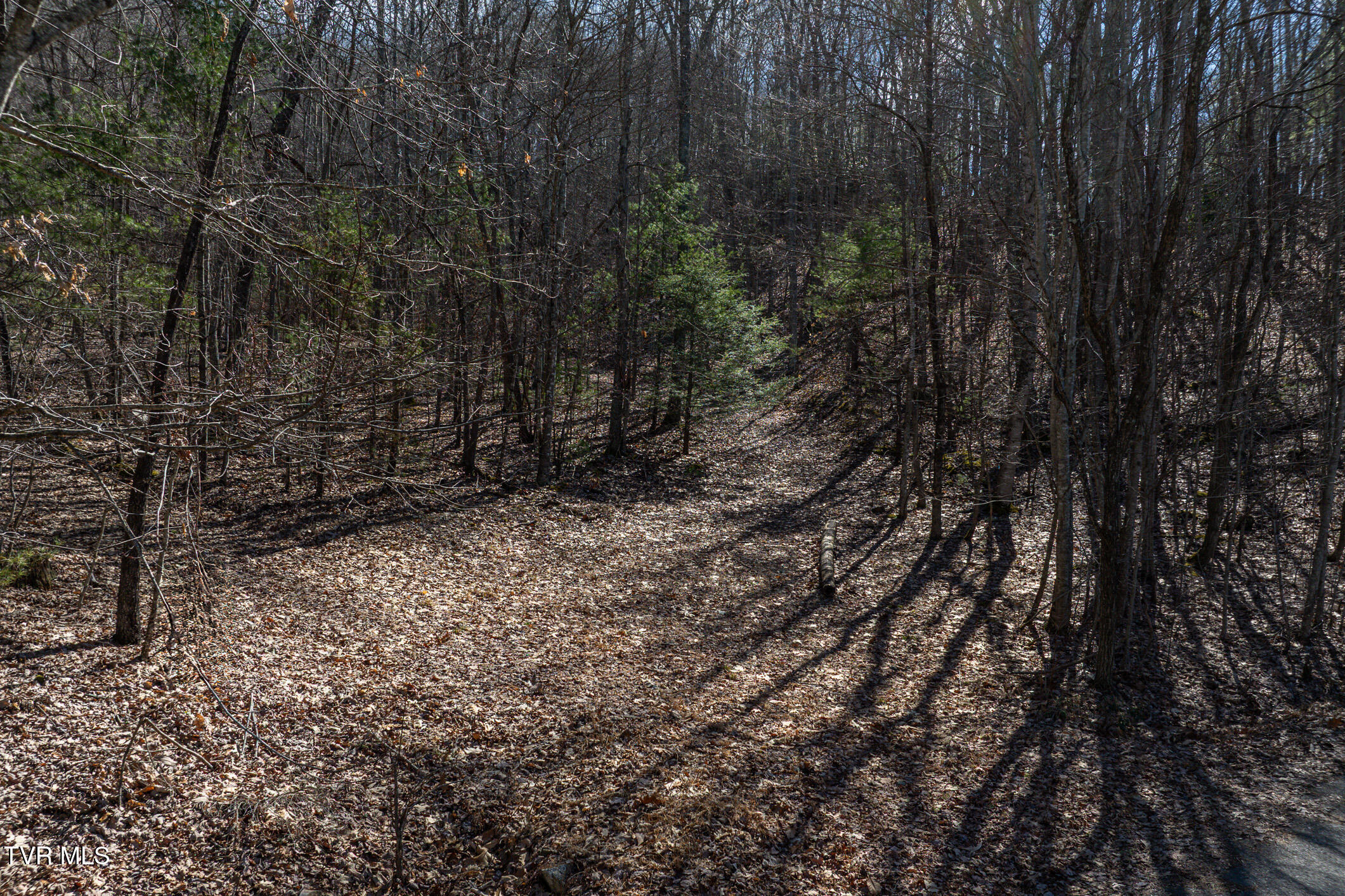 Lot 6 78 Iroquois Road, Mountain City, Tennessee image 12