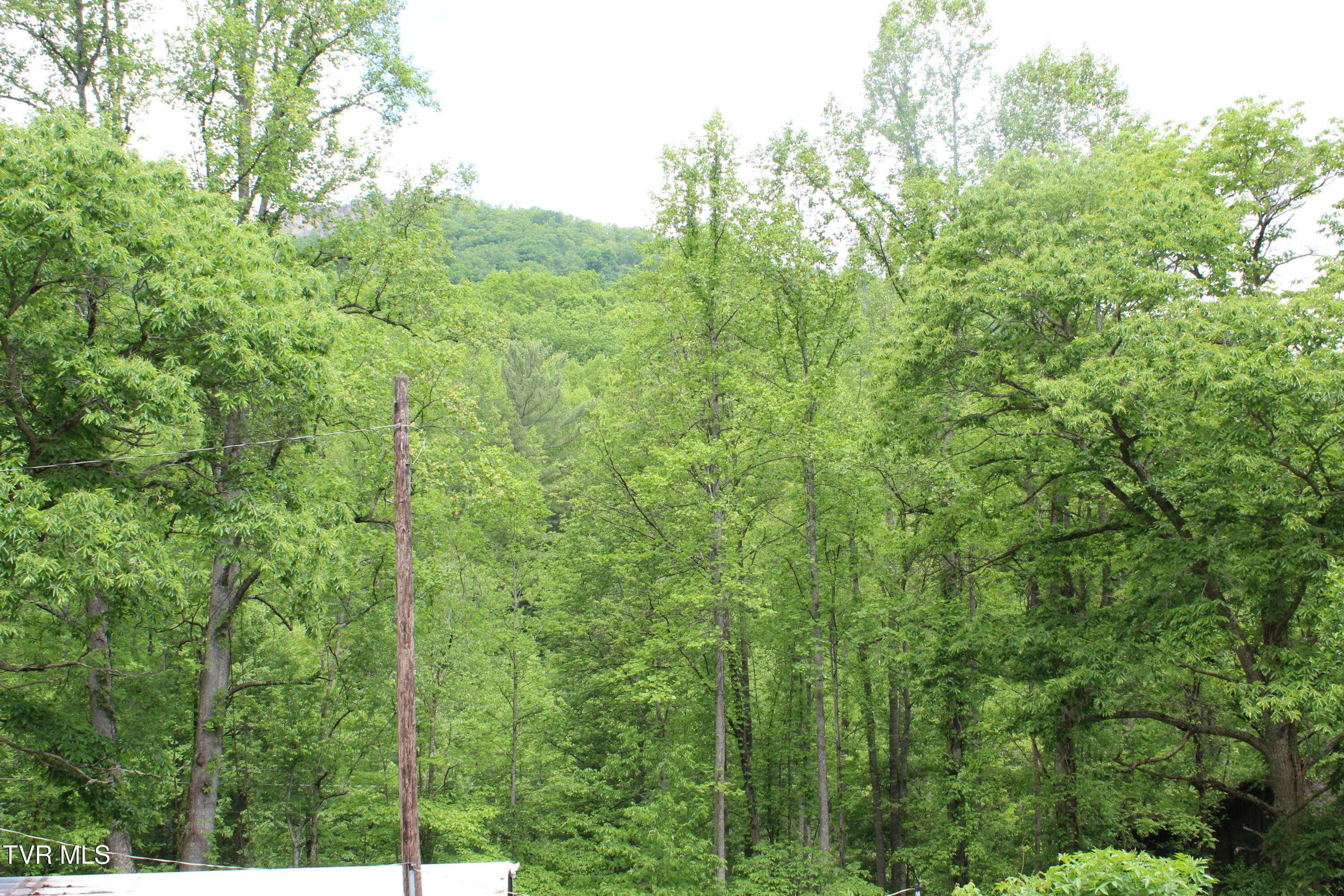 2967 Left Poor Valley Road, Pennington Gap, Virginia image 7