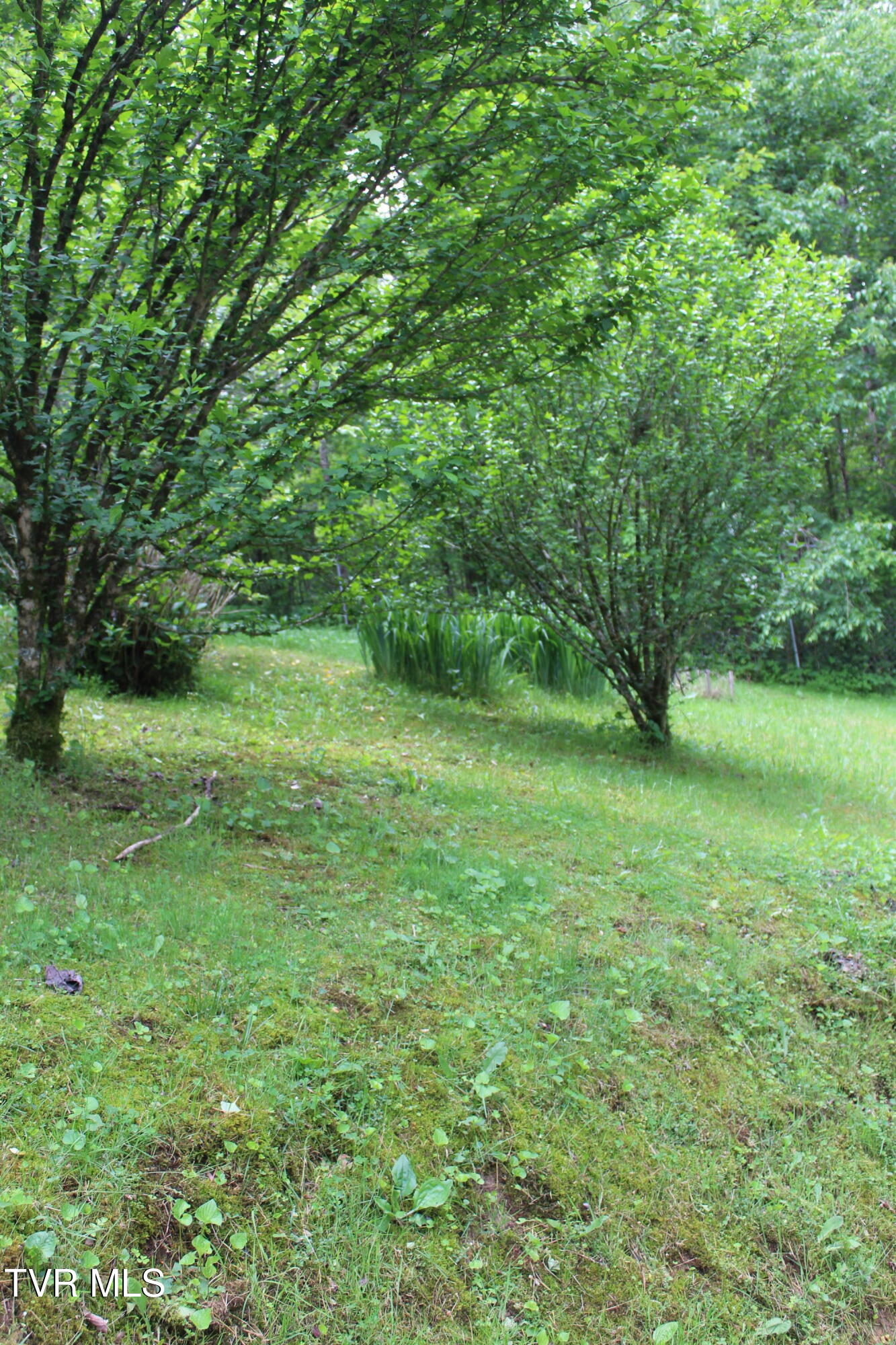 2967 Left Poor Valley Road, Pennington Gap, Virginia image 10