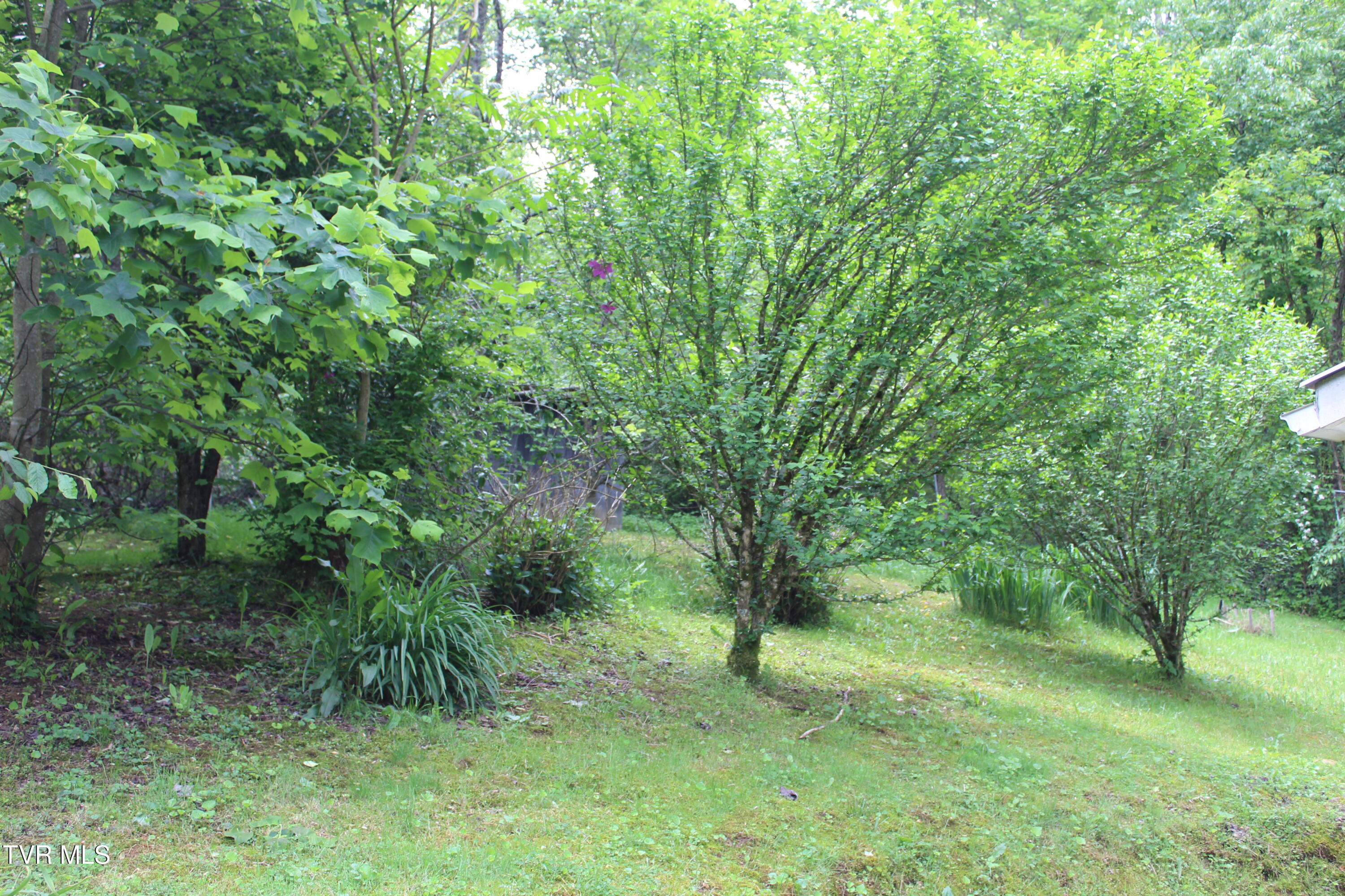 2967 Left Poor Valley Road, Pennington Gap, Virginia image 2