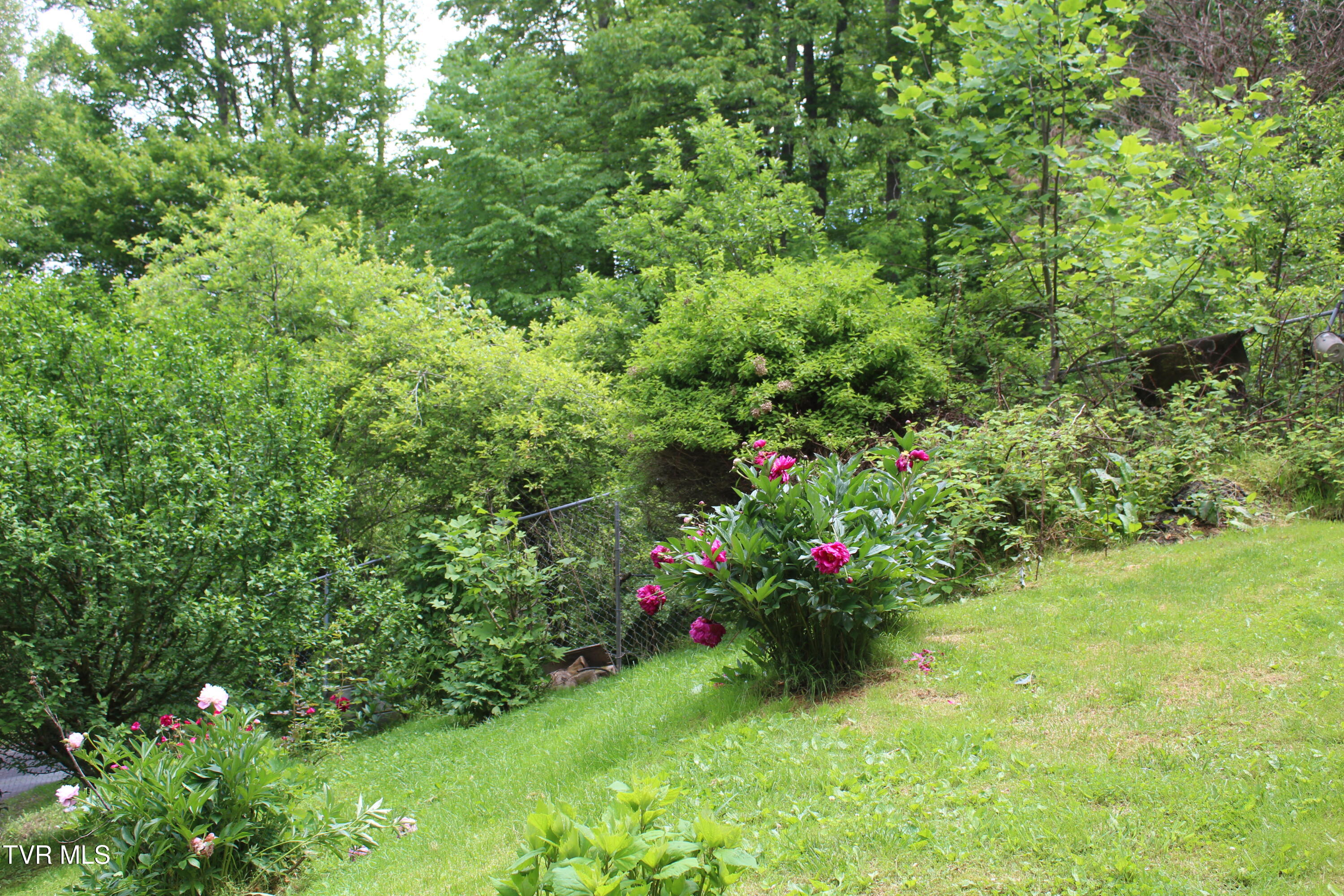 2967 Left Poor Valley Road, Pennington Gap, Virginia image 4