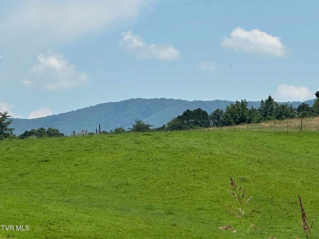 Photo of 00 Allens Bridge Road, Greeneville, TN 37743 (MLS # 9985216)