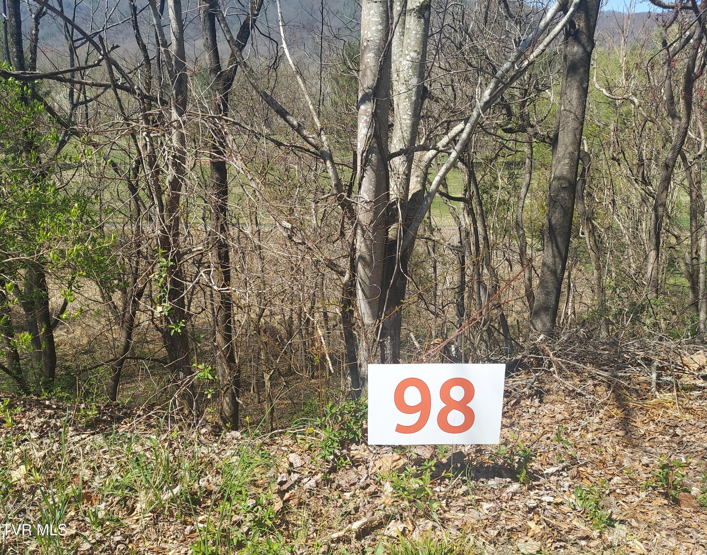 98 Country Club Drive, Unicoi, Tennessee image 2