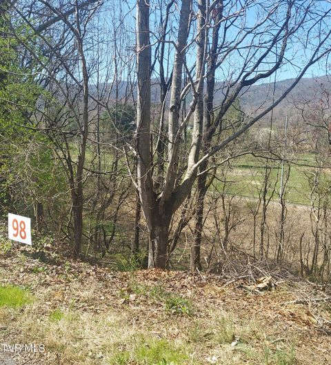 Vacant Land For Sale - 98 Country Club Drive<br/> Unicoi County, Unicoi, TN 37692