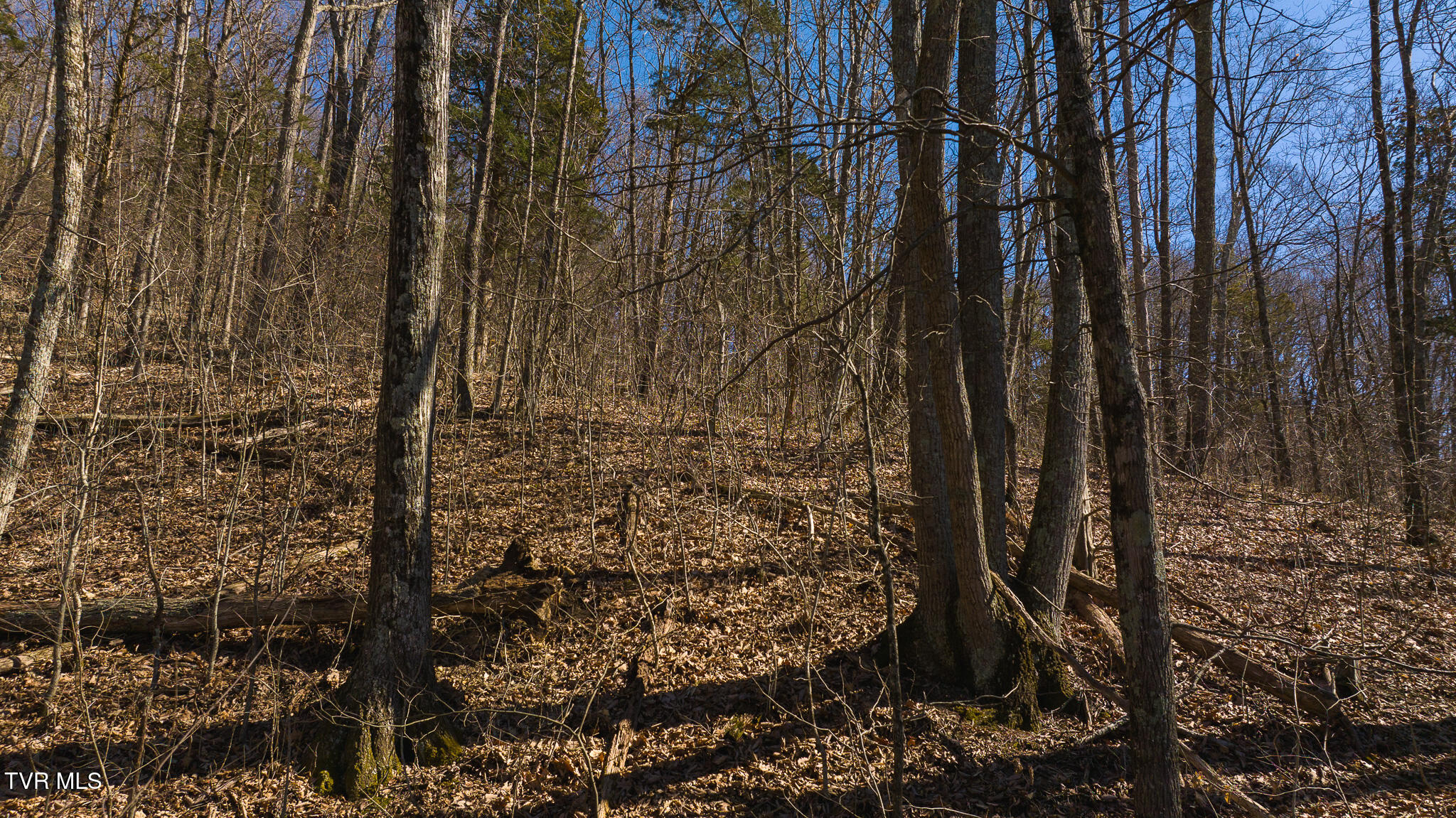 Lot 13 Rheatown Road, Chuckey, Tennessee image 23