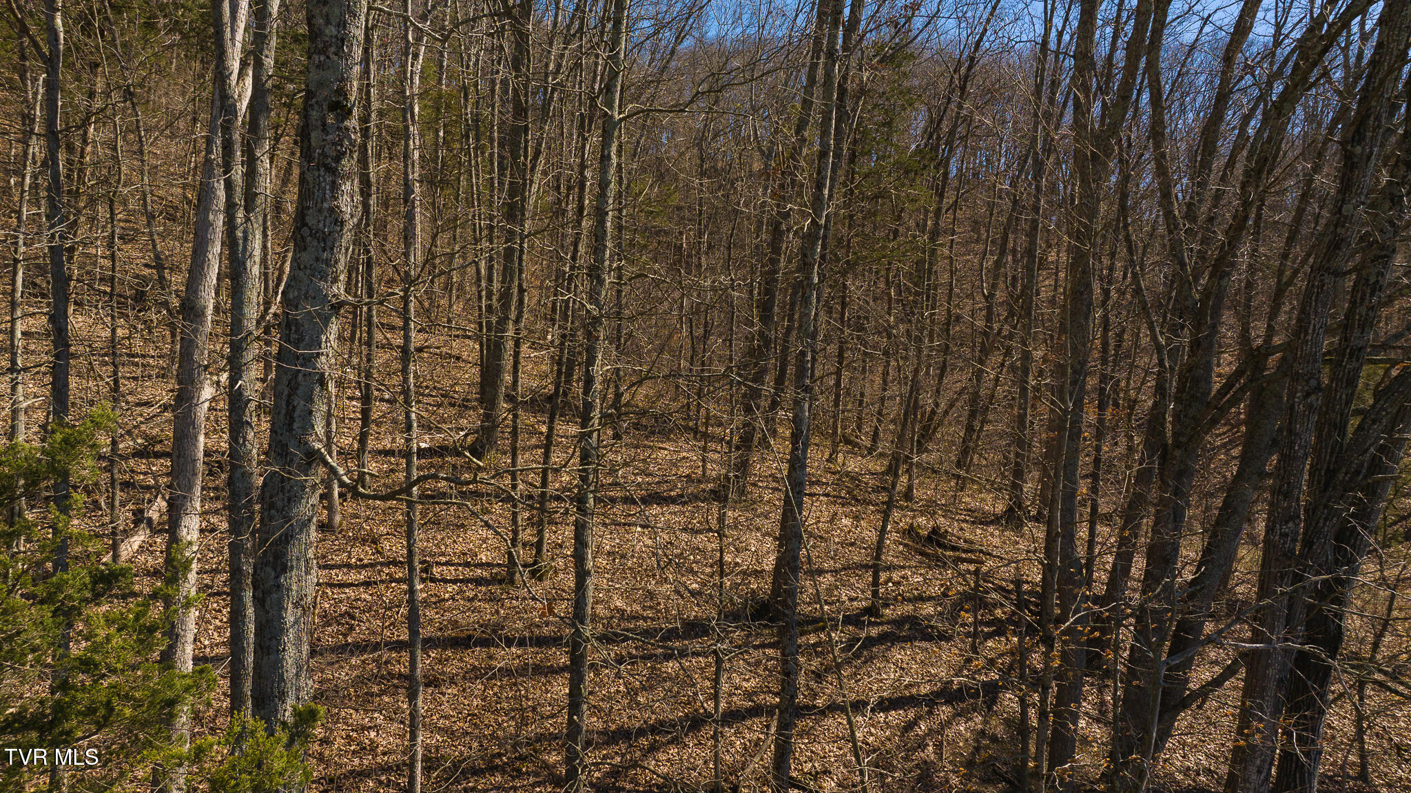 Lot 13 Rheatown Road, Chuckey, Tennessee image 20
