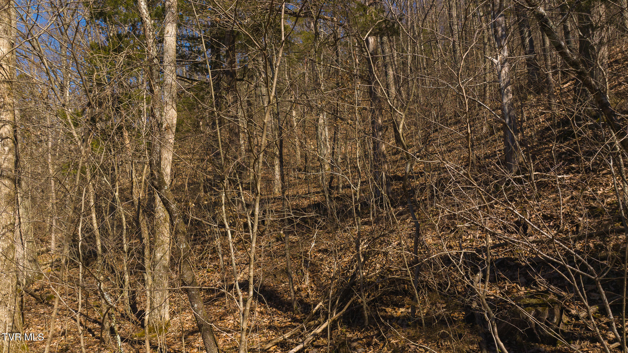 Lot 13 Rheatown Road, Chuckey, Tennessee image 18