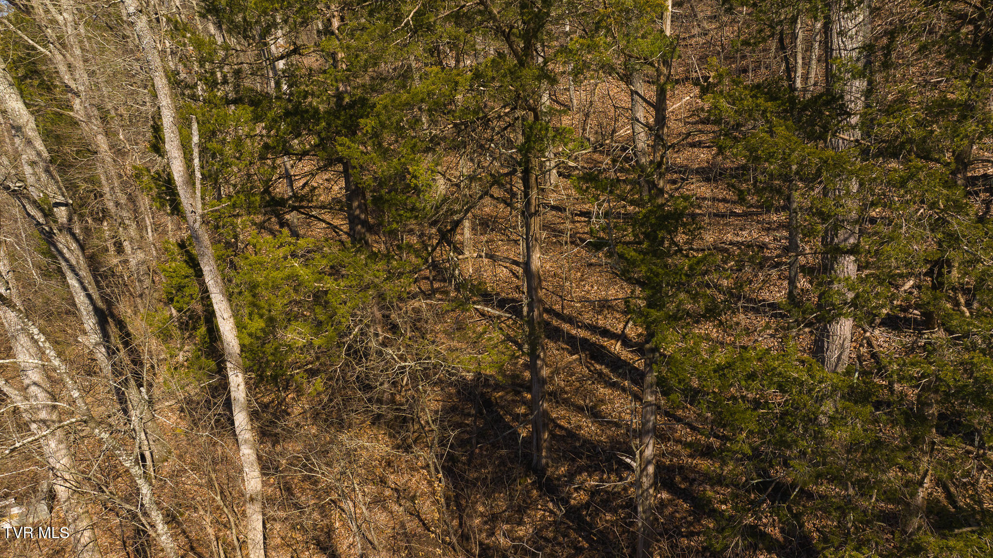 Lot 13 Rheatown Road, Chuckey, Tennessee image 21
