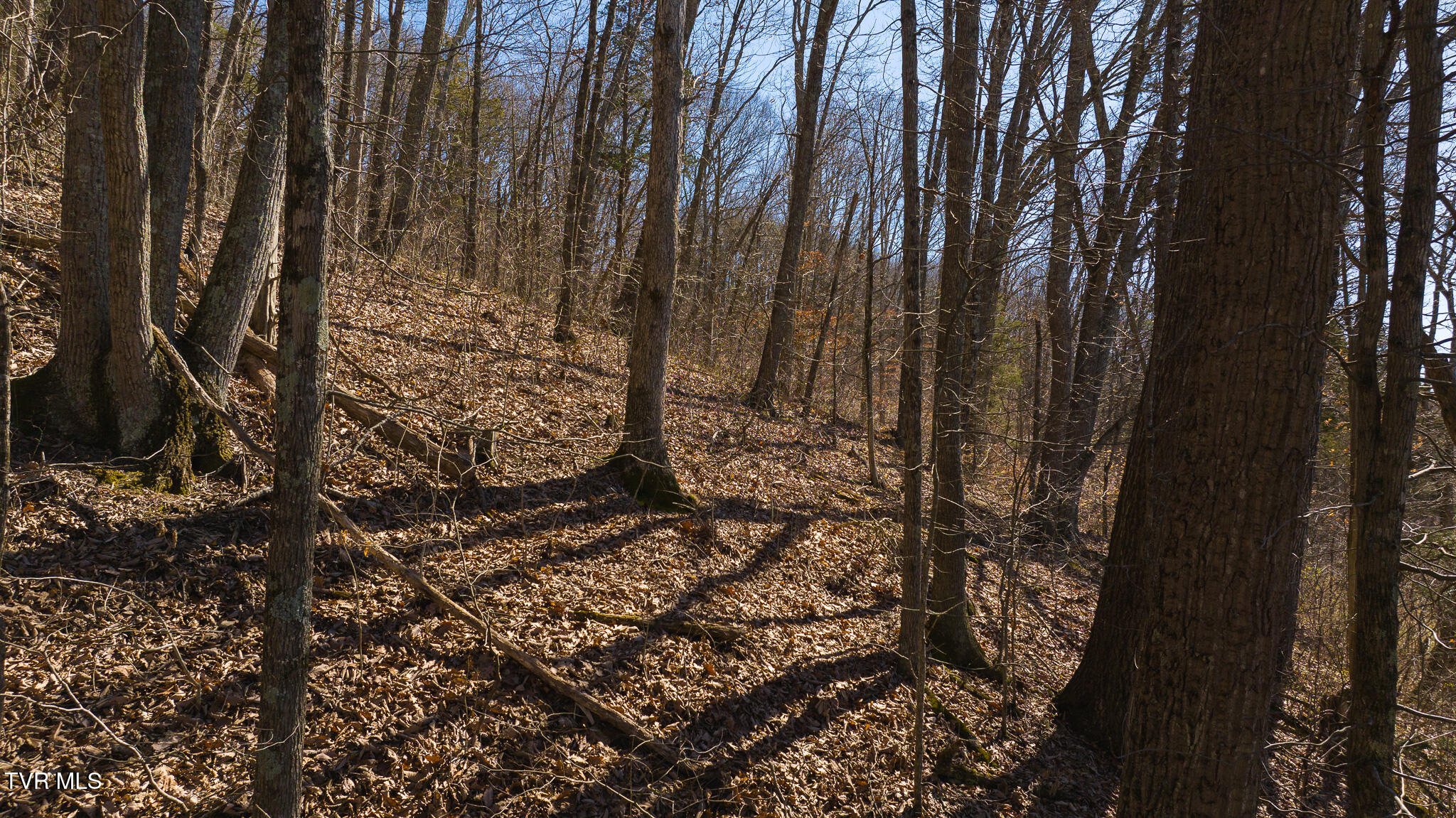 Lot 13 Rheatown Road, Chuckey, Tennessee image 4