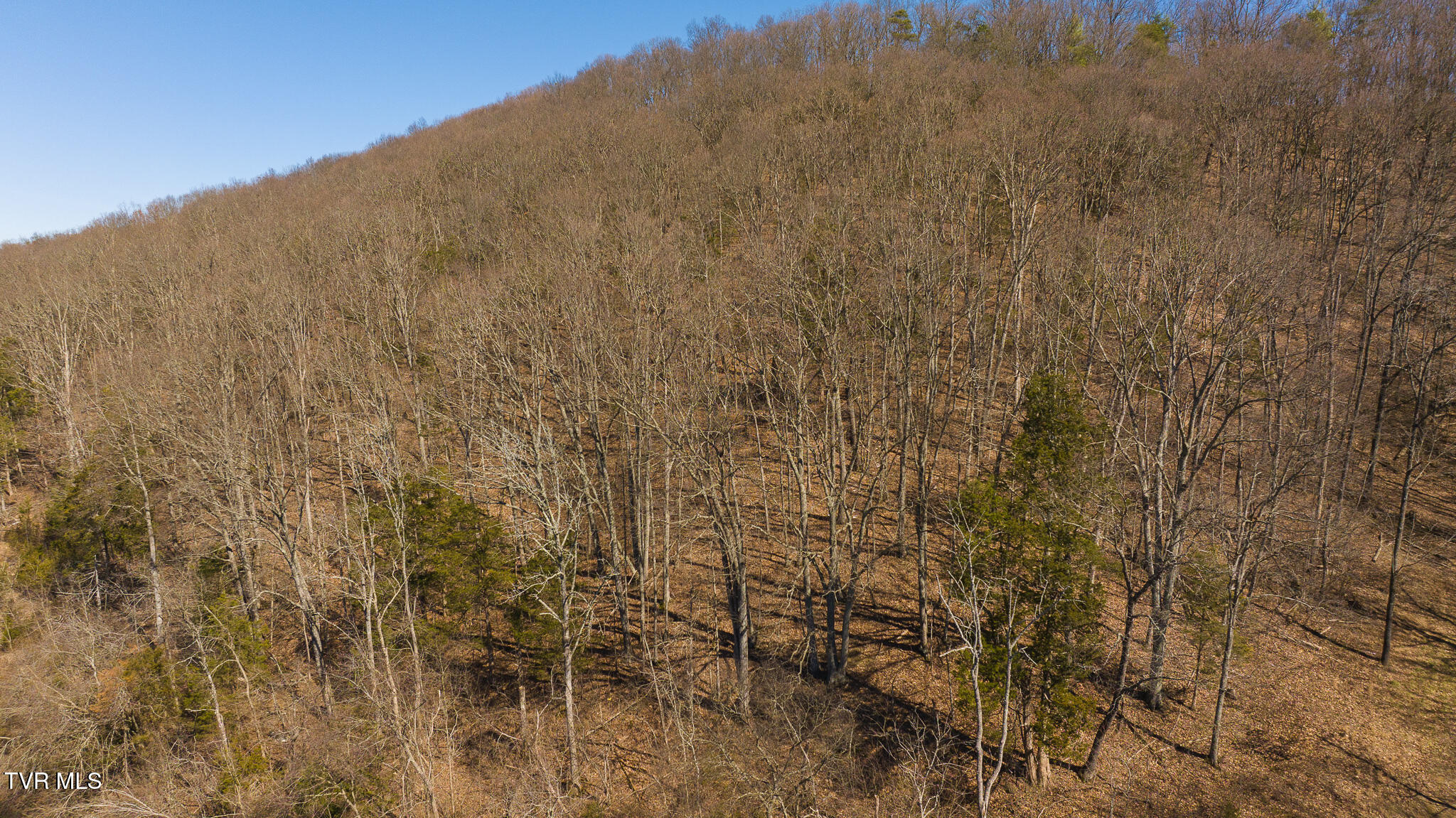Lot 13 Rheatown Road, Chuckey, Tennessee image 17