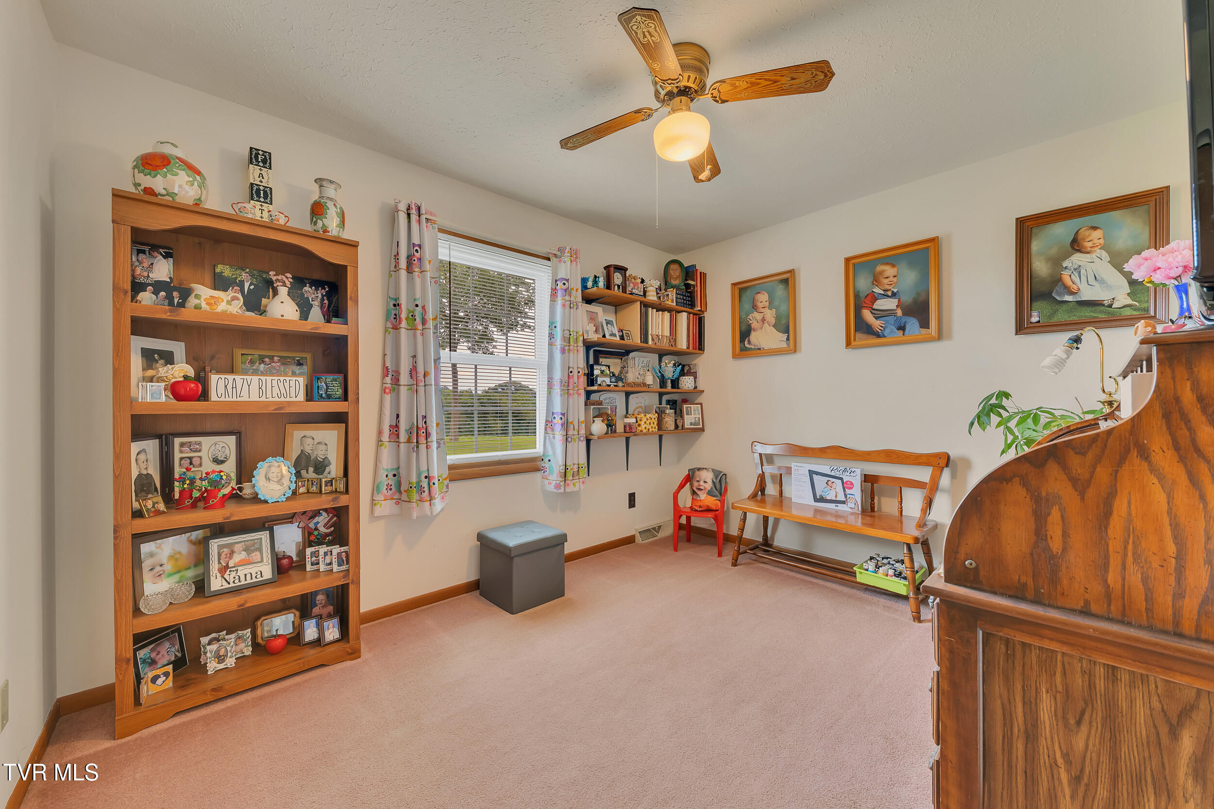 275 Crockett Timbers Rd, Limestone, Tennessee image 33