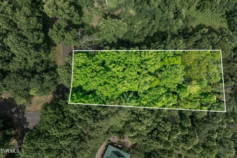 Vacant Land For Sale - LOT 12 Lake Ridge Road<br/> Johnson County, Butler, TN 37640