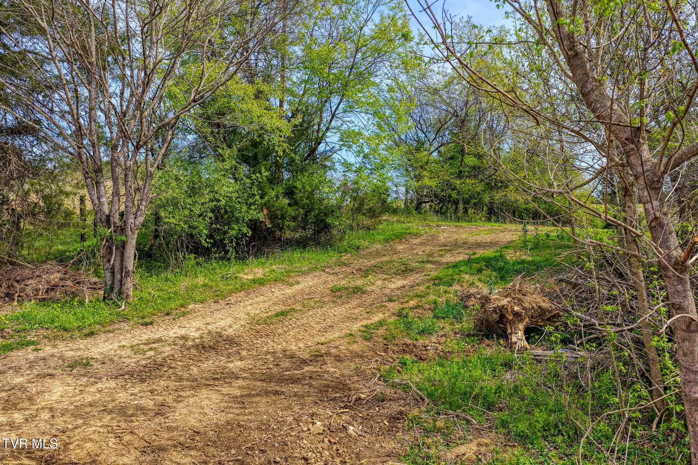 Tbd Webster Valley Road