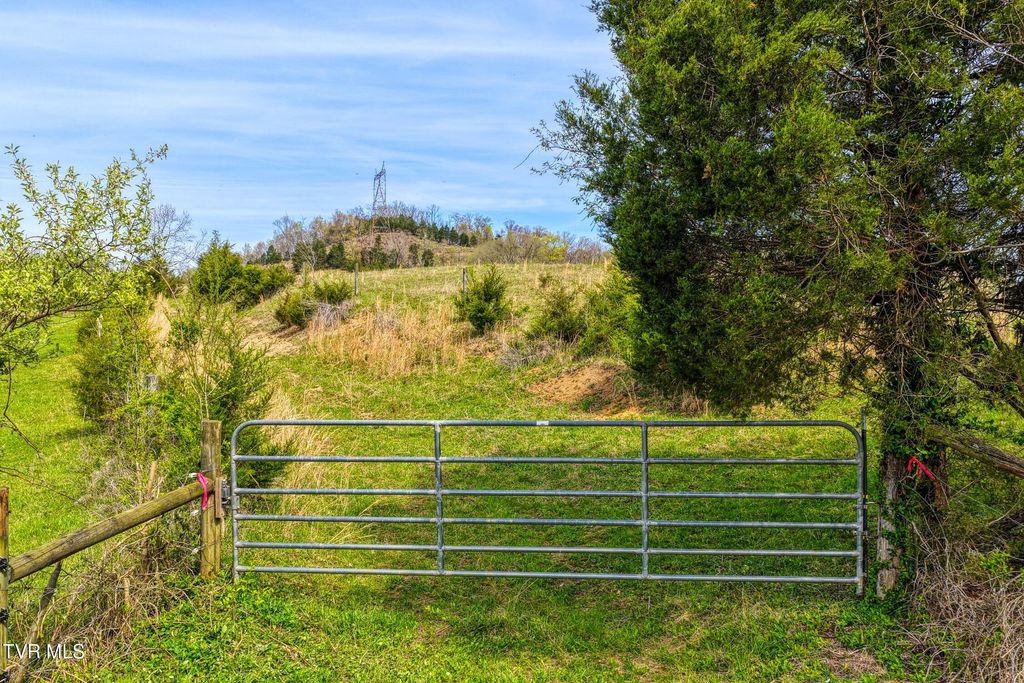 Photo of Tbd Webster Valley Road, Rogersville, TN 37857 (MLS # 9993747)