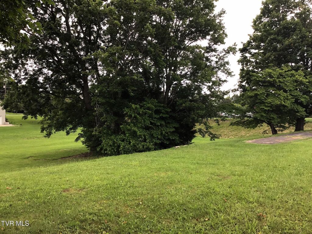 Photo of 00 Andrew Johnson Highway, Greeneville, TN 37745 (MLS # 9974274)