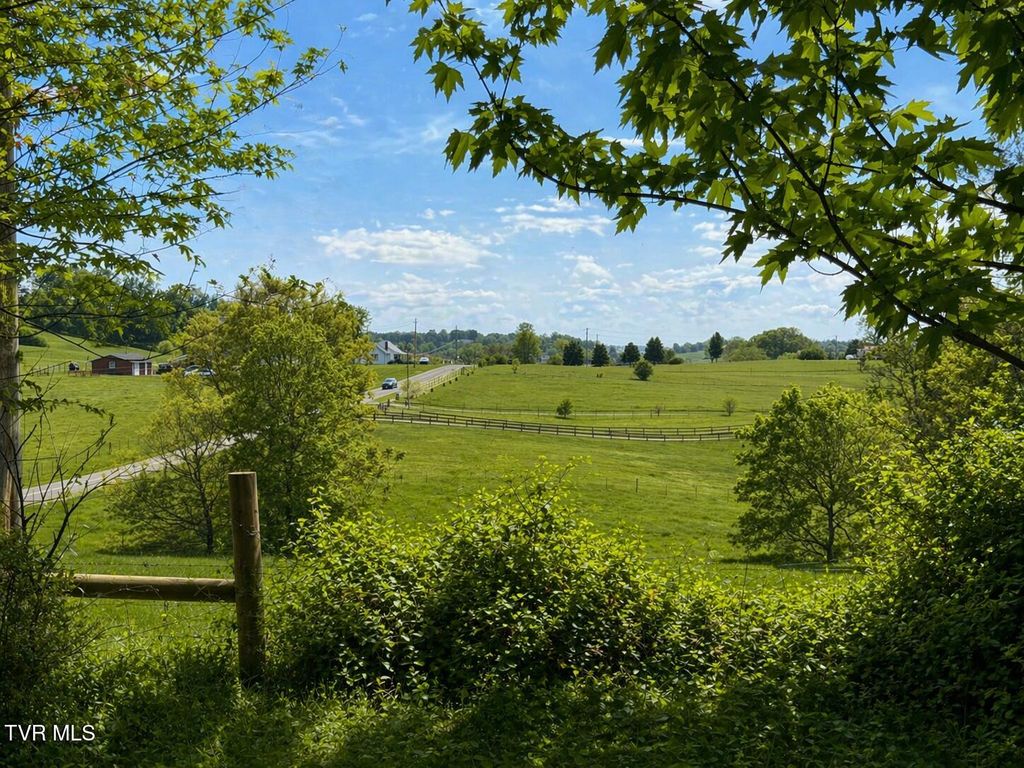 Photo of 3810 Allens Bridge Road, Greeneville, TN 37743 (MLS # 9994365)
