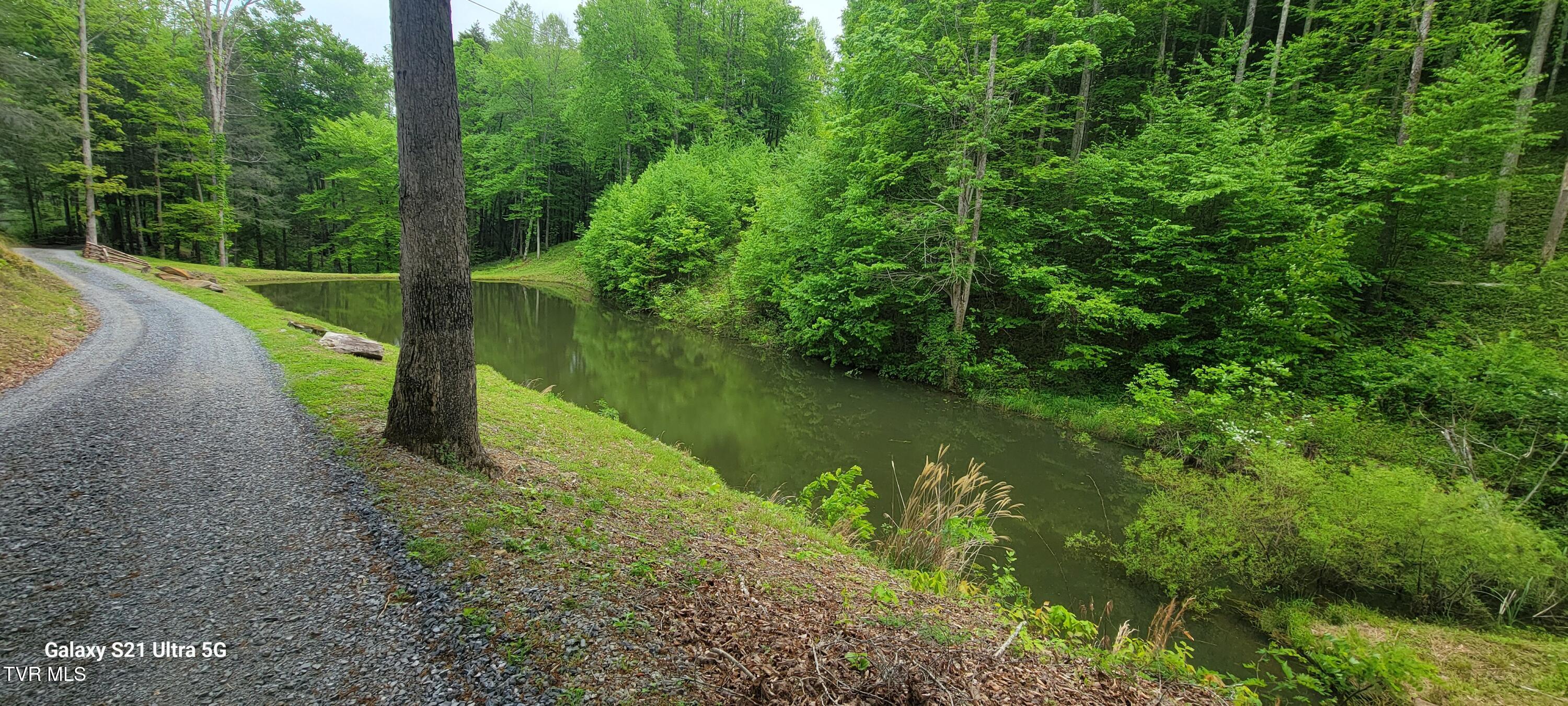 773 Greear Lane, Coeburn, Virginia image 50