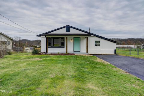 Photo of 932 Mountain View Road, Johnson City, TN 37601 (MLS # 9992553)