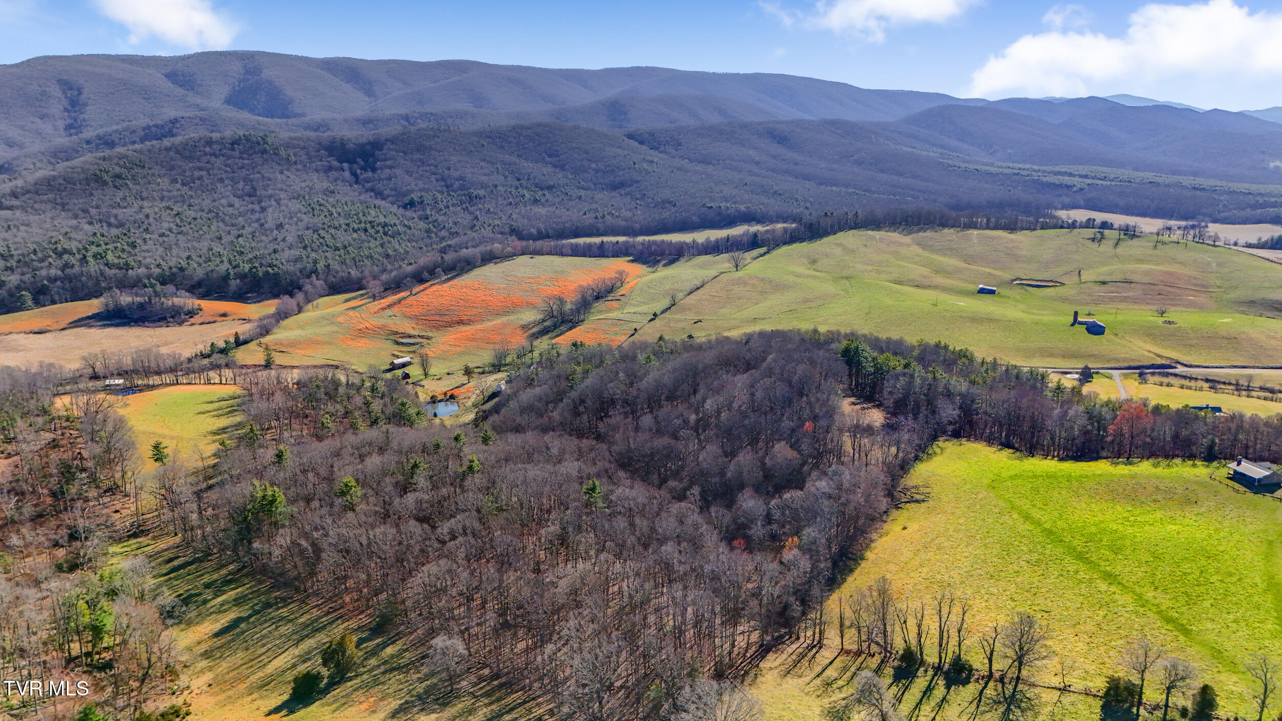 Tbd Crigger Creek, Sugar Grove, Virginia image 7