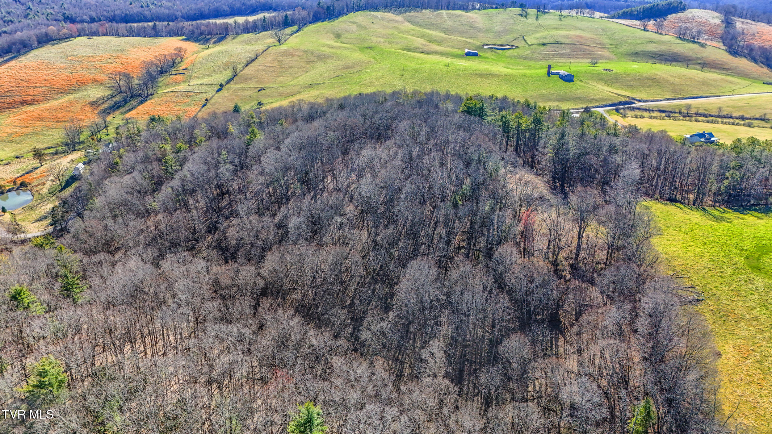 Tbd Crigger Creek, Sugar Grove, Virginia image 9