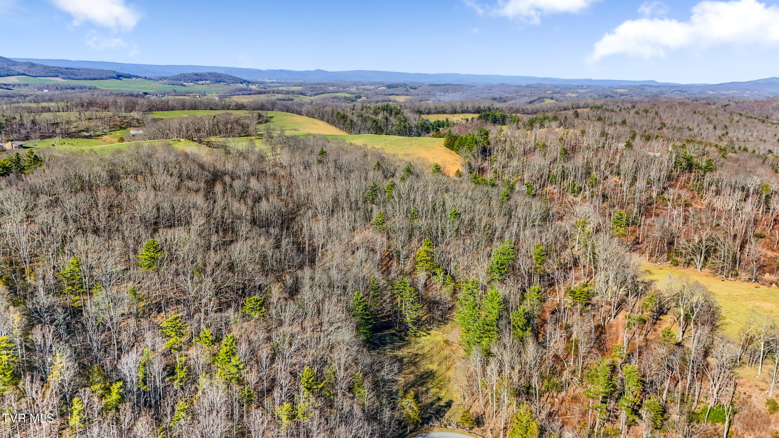 Tbd Crigger Creek, Sugar Grove, Virginia image 13