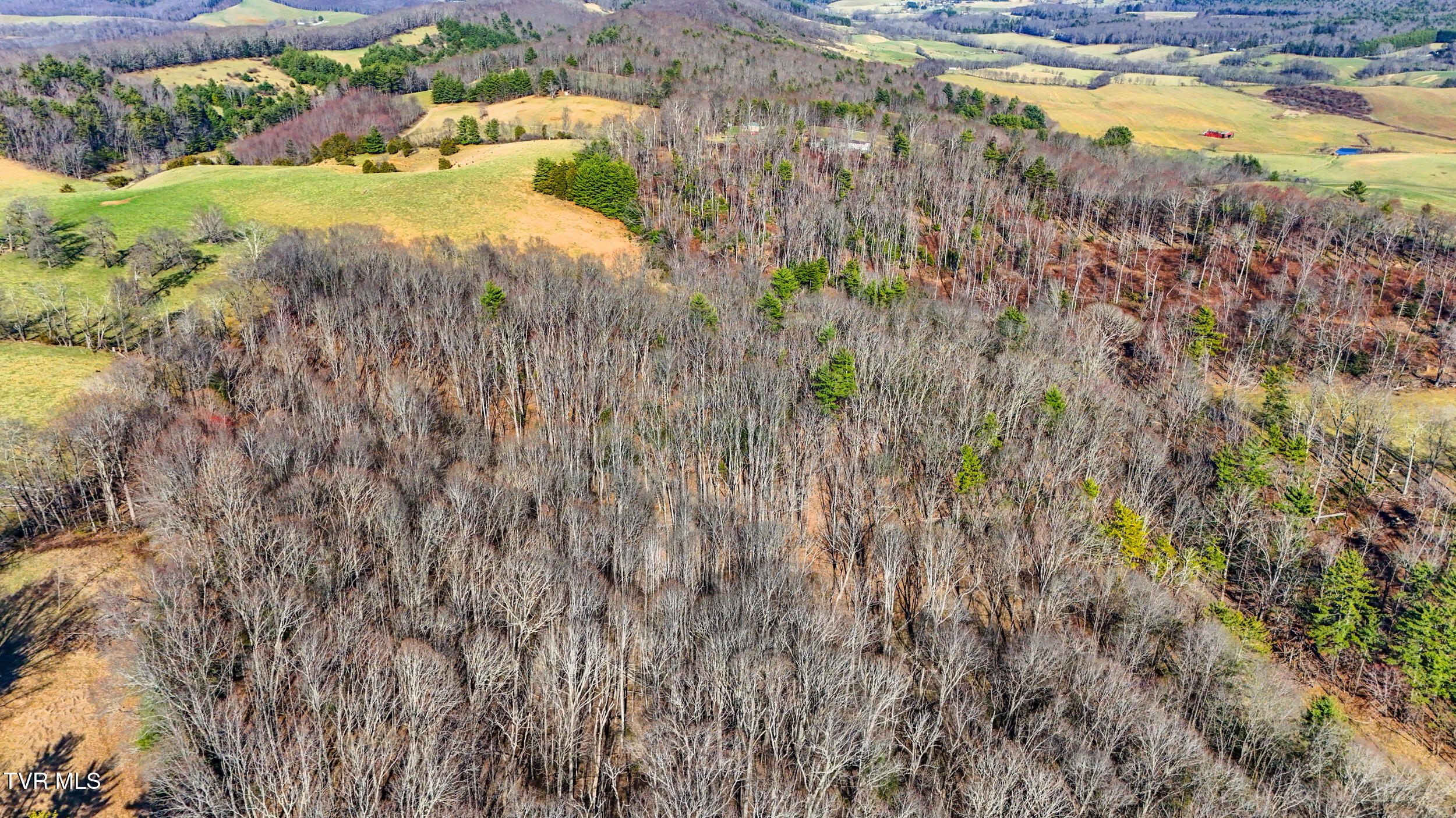 Tbd Crigger Creek, Sugar Grove, Virginia image 10