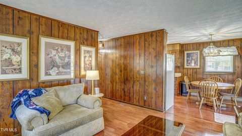 Tiny photo for 116 Smalling Street, Hampton, TN 37658 (MLS # 9985550)
