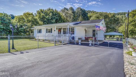 Tiny photo for 116 Smalling Street, Hampton, TN 37658 (MLS # 9985550)