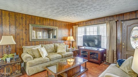 Tiny photo for 116 Smalling Street, Hampton, TN 37658 (MLS # 9985550)