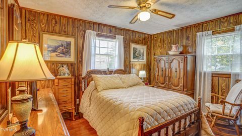 Tiny photo for 116 Smalling Street, Hampton, TN 37658 (MLS # 9985550)