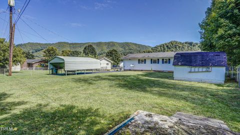 Tiny photo for 116 Smalling Street, Hampton, TN 37658 (MLS # 9985550)