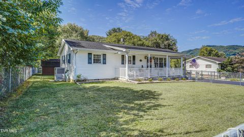 Tiny photo for 116 Smalling Street, Hampton, TN 37658 (MLS # 9985550)