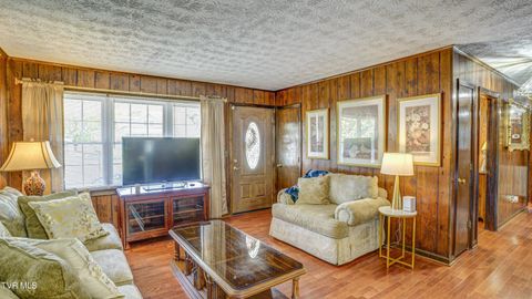 Tiny photo for 116 Smalling Street, Hampton, TN 37658 (MLS # 9985550)